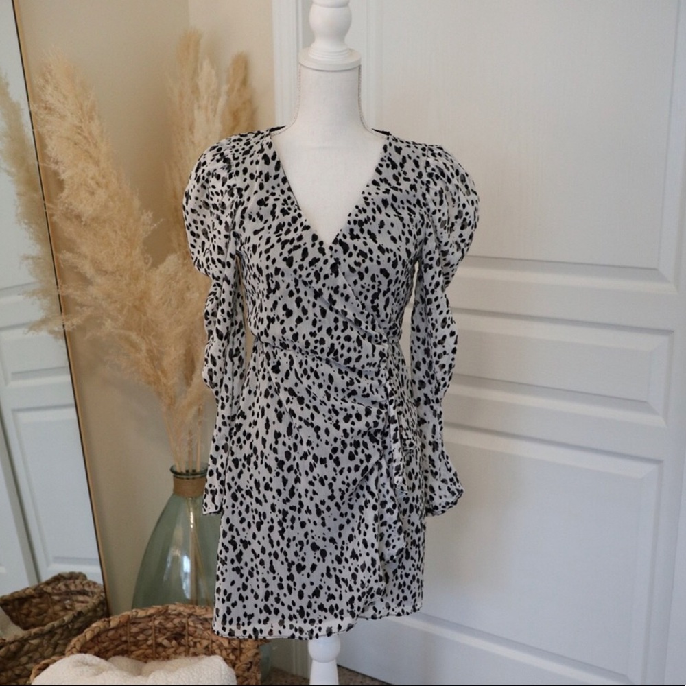 Zara Animal Print Dress